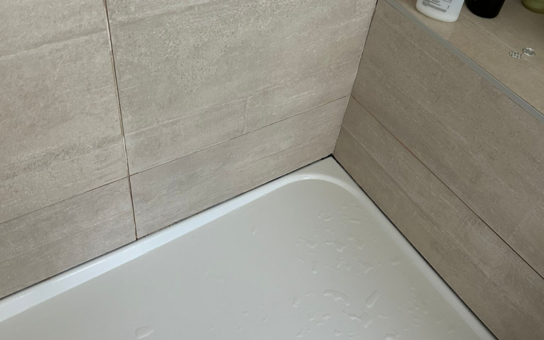 Keep Your Shower Mold-Free with Tips from CLEANERSPRO.